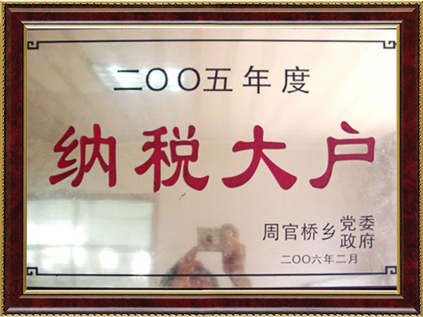 2005年納稅大戶